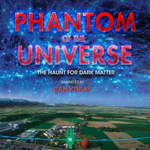 Phantom of the Universe